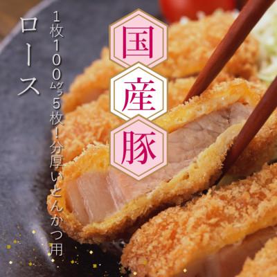 ふるさと納税 芸西村 国産豚ロースとんかつ用500g