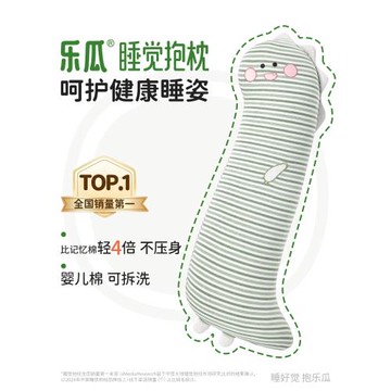 樂瓜恐龍睡覺抱枕側睡夾腿靠枕床上專用女生成人冰絲涼感長條枕頭