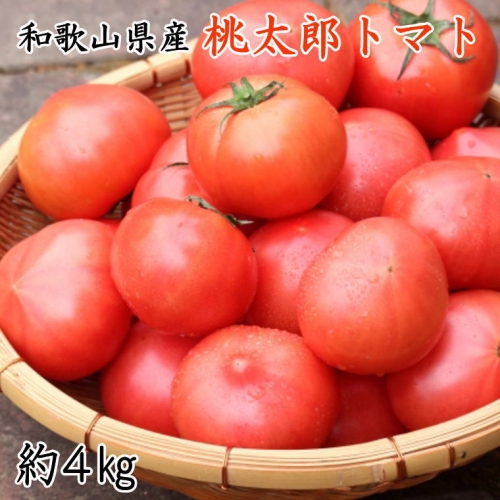 和歌山県産桃太郎トマト約4kg(L～2Lサイズおまかせ)