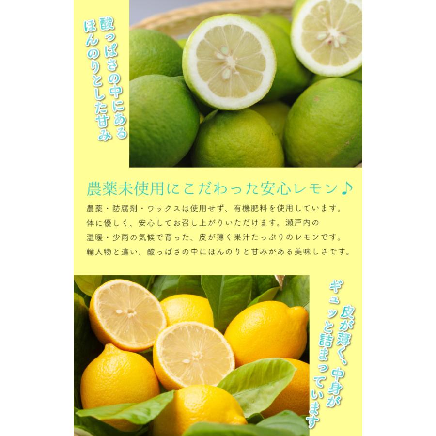 訳あり 国産 無農薬 レモン 5kg 愛媛 大三島 又は 広島 瀬戸内 ore