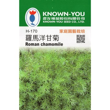 【拈花微笑】羅馬洋甘菊｜香藥草種子｜400粒｜非基因改造種子｜蔬菜｜蔬果｜有機無毒｜高發芽率