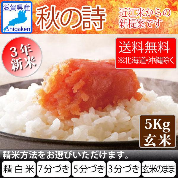 令和4年新米 滋賀県産秋の詩5Kg玄米  お好きな分つきに 送料無料※一部地域を除く