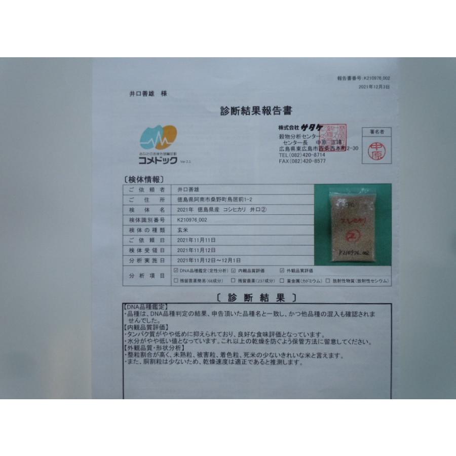 玄米10kg×１袋 令和５年産新米 ミルキークイーン 精米 分搗き米 クリーン白米（無洗米基準）対応 産直