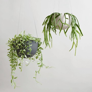 【WUZ屋子】日本KINTO PLANT POT盆栽吊籃17.4cm