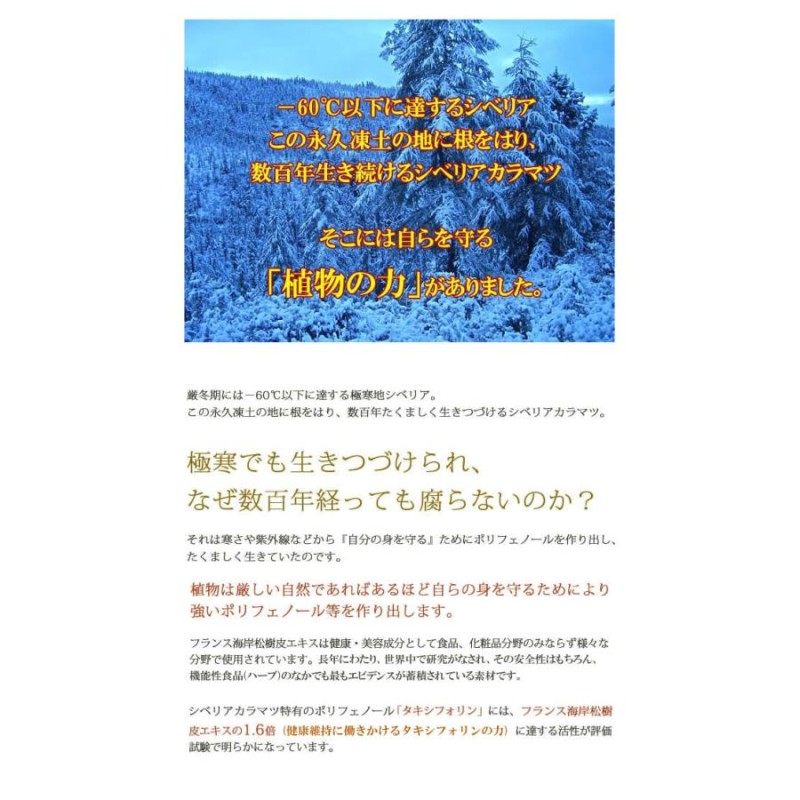 ジクベルチン 徳用 150粒 5個セット 8ヶ月分 タキシフォリン