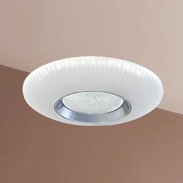 36W三色變光吸頂燈 B139-81-24983