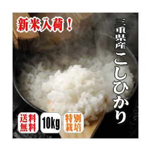 新米入荷！三重県産こしひかり　10kg(5kg×2)　 新米 5年産 コシヒカリ