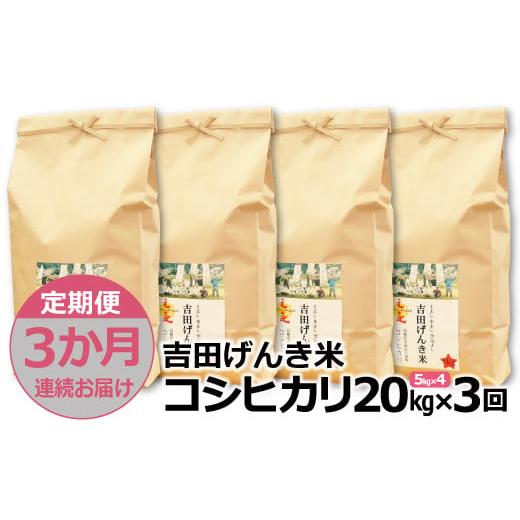 ふるさと納税 島根県 雲南市 「吉田げんき米」コシヒカリ20kg（5kg×4）【島根県産 雲南市産 ブランド米 米 お米 白米 コメ こめ お…