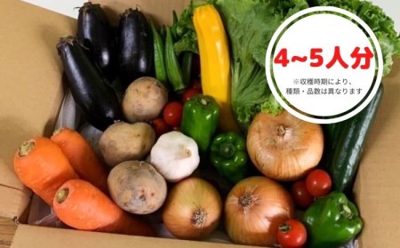 阿波の国海陽町　旬のお野菜詰め合わせセット１０‐１３品×２回