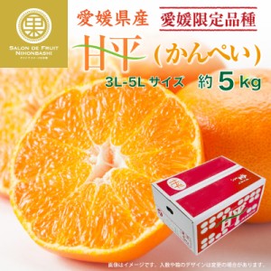 [予約 1月10日-2月28日の納品]     甘平 約5kg 3L 4L 5L 愛媛県産 化粧箱 みかん 高糖度