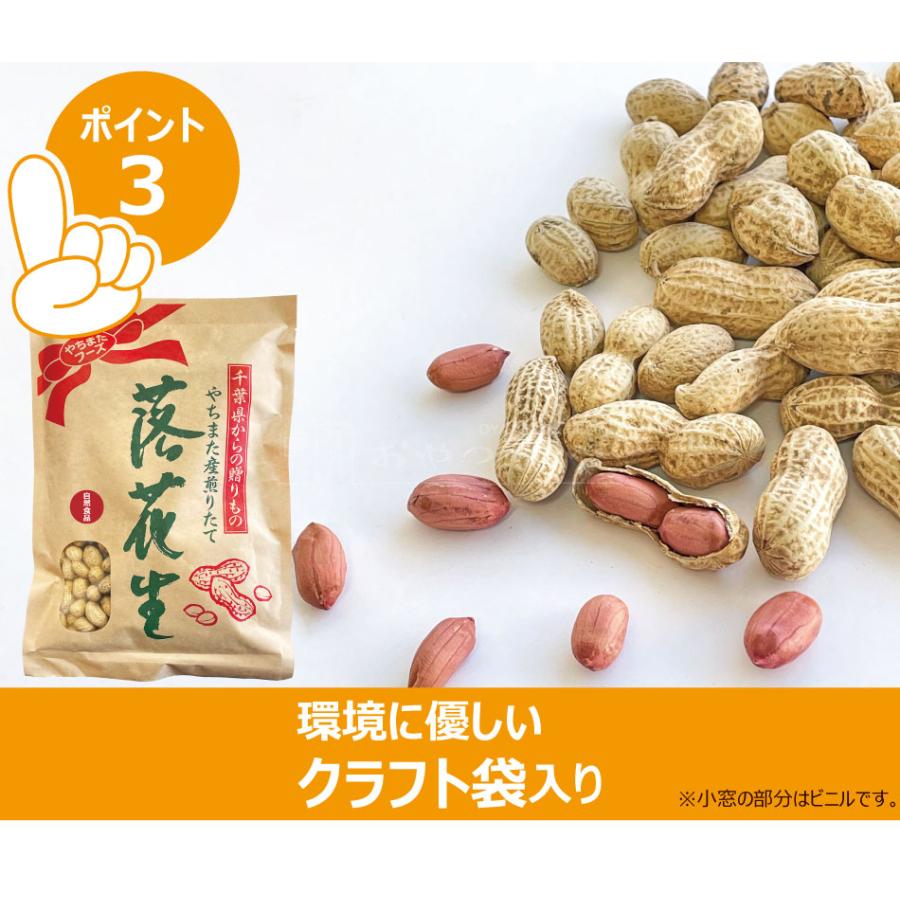 千葉県産 からつき 落花生 国産 400g  中手豊 ナカテユタカ 八街 やちまた ピーナッツ ピーナツ クリックポスト（代引不可） 遠赤焙煎