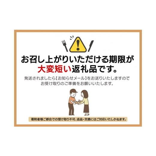 ふるさと納税 福井県 美浜町 [m36-f001] ≪浜茹で≫ 天然 越前がに 約800g〜900g × 1杯 はるか丸の船?が厳選！【冷蔵 本場の味 ボイル …