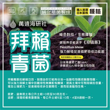 《 拜賴青菌 》複合有益真菌 釋放土壤磷肥 輔助養分吸收 促進根系發育 催花與果實飽滿 友善環境 有機園藝資材