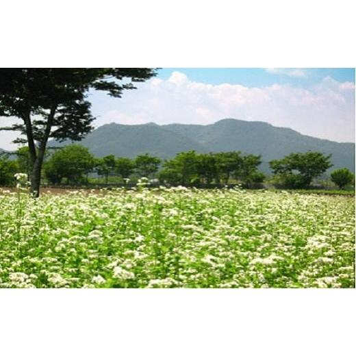 ふるさと納税 兵庫県 朝来市 やくの麺業　乾麺ギフトセット（そば、うどん）年内配送 年内発送 年越しそば 国産 自社製粉 天然水 安心 安全 半生麺 …