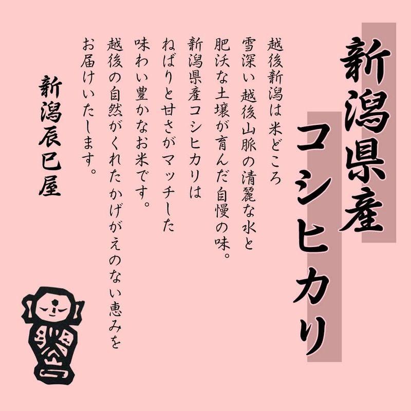 精米令和4年産 新潟県産コシヒカリ 白米 10kg（5kg×2袋）新潟辰巳屋