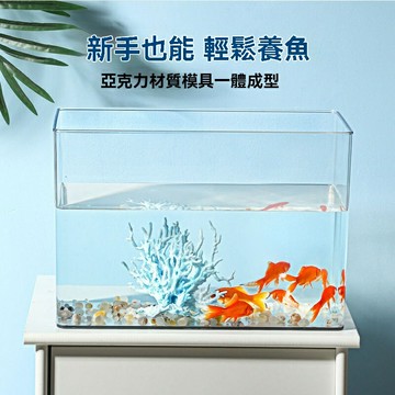 【生態自循環】水族箱 魚缸 生態缸 造景缸 烏龜缸 客廳魚缸 超白玻璃高透 免換水系統 靜音節能 客廳/辦公室/家居裝飾