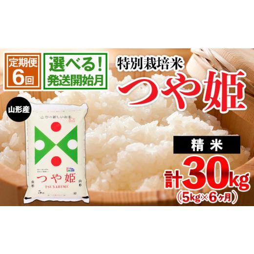 ふるさと納税 山形県 山形市 [令和5年産]山形産 特別栽培米 つや姫 5kg×6ヶ月(計30kg)★発送開始月が選べる★ FZ22-512