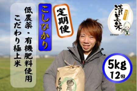 《定期便》5kg×12回 60kg 特別栽培米 コシヒカリ 無洗米 低農薬 《食味値85点以上！こだわり極上無洗米》   福井県 あわら 北陸 米 お米 人気 新米