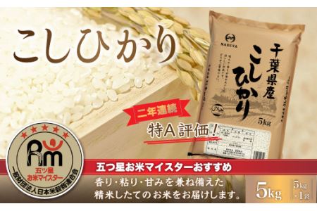 令和5年産 2年連続特A評価!千葉県産コシヒカリ5kg（5kg×1袋）