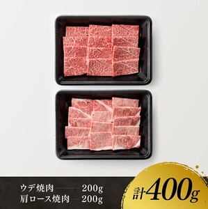 宮崎牛 赤身 霜降り 焼肉 2種 400g