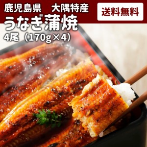  鹿児島 ウナギ かば焼き 蒲焼 鰻 送料無料 冷凍 父の日 母の日 ギフト 母の日 父の日 お中元 お歳暮 ギフト