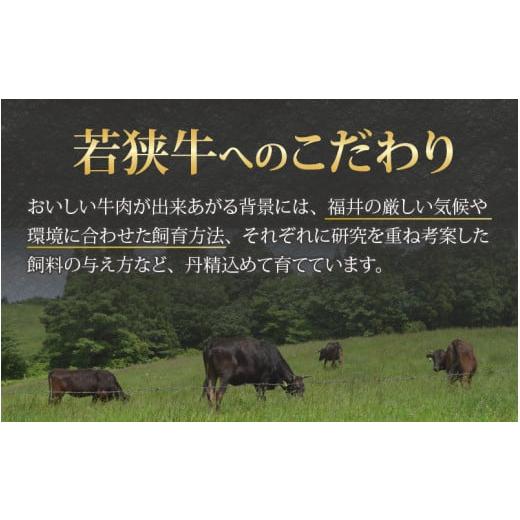 ふるさと納税 福井県 大野市 若狭牛モモ肉 焼肉用 540g(270g×2パック)