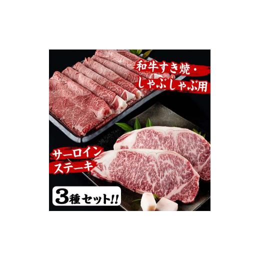 ふるさと納税 大分県 佐伯市 おおいた 和牛 3種 セット (合計1.66kg・サーロインステーキ180g×2枚・ウデ肉700g・焼肉300g×2P)-百年の恵み-【西日本…