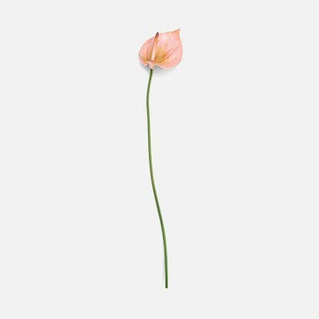 查莉擬真花插火鶴花63cm 粉膚