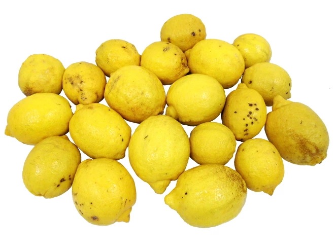完熟国産レモン 訳あり 約3kg 大きさおまかせ 産地厳選 予約 入荷次第発送