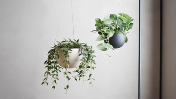日本KINTO PLANT POT盆栽吊籃17.4cm-共2色《WUZ屋子》日本 KINTO 花盆 花器 園藝