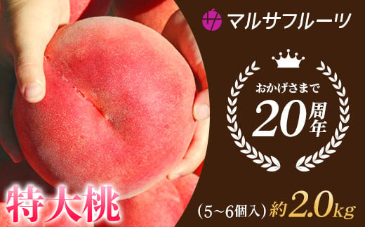 ＜2024年先行予約＞特大桃 5～6個入り 約2.0kg 山梨一宮産の桃 朝採り 産地直送  088-001
