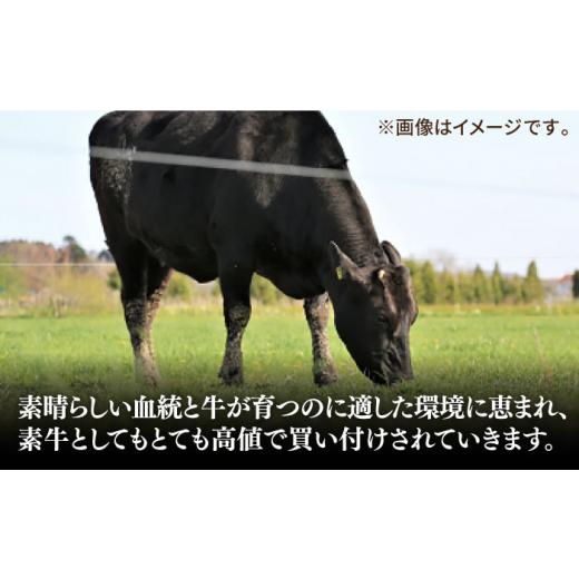 ふるさと納税 長崎県 壱岐市 壱岐牛 A5ランク サーロインステーキ 雌 350g×1枚《 壱岐市 》 ステーキ サーロイン BBQ 和牛 …