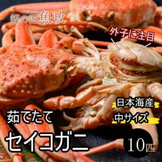 蟹の匠　魚政の内子外子が美味!　茹でたて　セイコガニ中サイズ　10匹