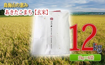 秋田県産 あきたこまち 玄米 12kg（2kg×6袋）神宿る里の米「ひの米」（お米 小分け）