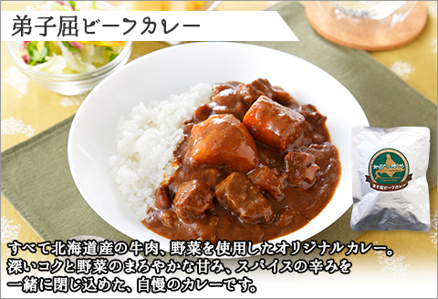 507. ビーフカレー 10個 セット 中辛 牛肉 業務用 レトルトカレー 野菜 備蓄 まとめ買い 北海道 弟子屈町