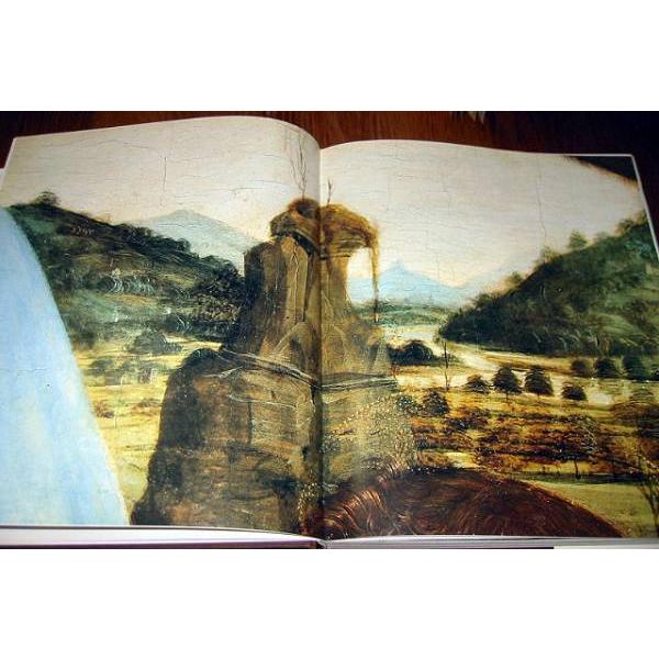 洋書画集 レオナルド・ダビンチ 絵画作品集Leonardo da Vinci: The Complete Paintings(輸入品）