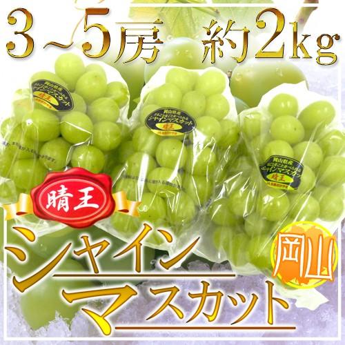 岡山産 ”シャインマスカット「晴王」” 3〜5房 約2kg ぶどう 送料無料