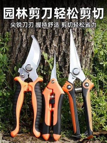 修枝剪園藝剪葡萄剪樹枝專用剪刀摘果剪修剪果樹園林剪花藝修花剪