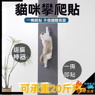 【台灣出貨】逗貓玩具 貓咪玩具 貓咪攀爬貼 貓爪墊 貓爪板 貓咪磨爪貼 防貓抓 耐磨 自粘貼膜 牆面保護貼 耐髒