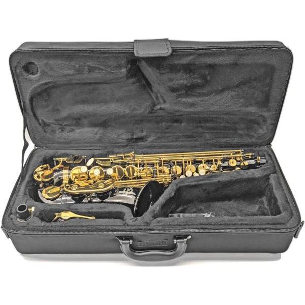 J Michael(Jマイケル) AL-900B アルトサックス ブラック 管楽器 black alto saxophones セット E　北海道 沖縄 離島 代引き 同梱不可