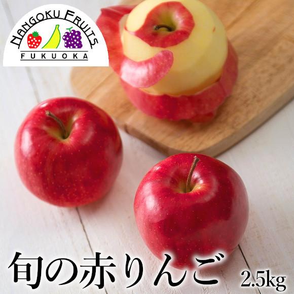 旬の赤りんご 約2.5kg (8−10玉)