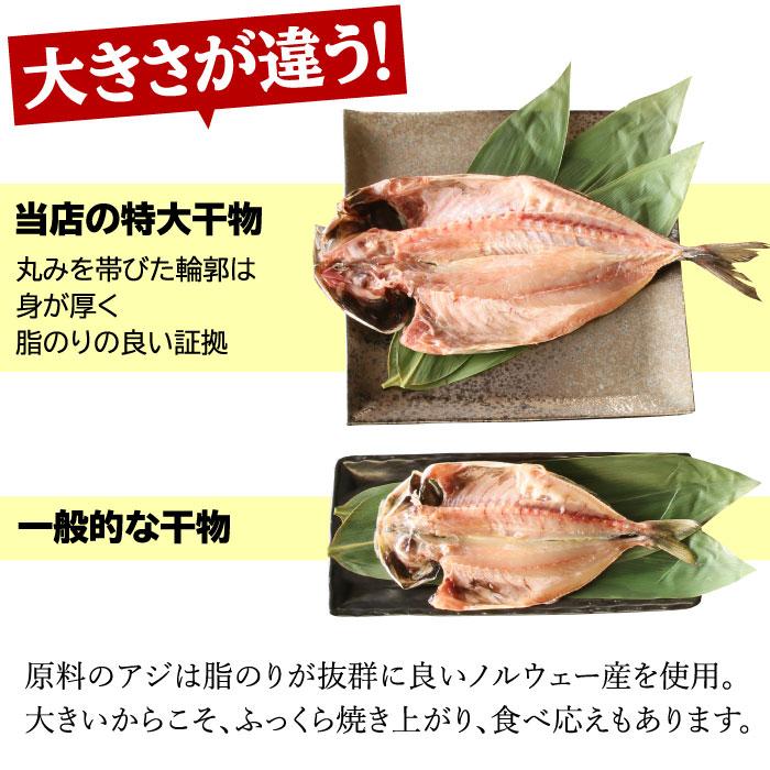 特大アジ干物 5尾セット 干物 ひもの アジ 鯵 特大 アジの干物 ノルウェー 冷凍 清水港 お取り寄せ 受注生産 送料無料