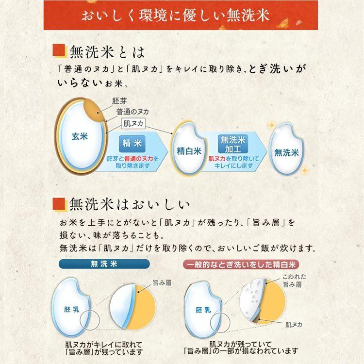 米5kg 送料無料 無洗米 宮城県産 だて正夢 米 5kg お米 令和4年産 白米 アイリスオーヤマ