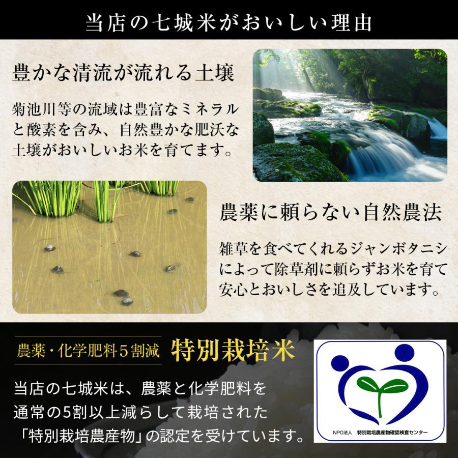 特別栽培米　熊本県産こだわり七城米　ヒノヒカリ ５ｋｇ×２袋　菊池米　減農薬米　米10kg