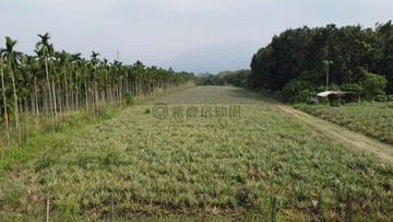 屏東萬巒|優質大地坪|平價農地|一般農業區｜屏東縣萬巒鄉鹿寮段