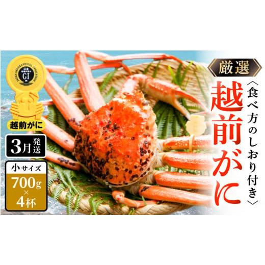 ふるさと納税 福井県 越前町 越前がに本場の越前町からお届け！≪浜茹で≫越前がに 小サイズ（生で700g以上）× 4杯 合計2.8Kg以上 食べ方しおり付【かに カニ…