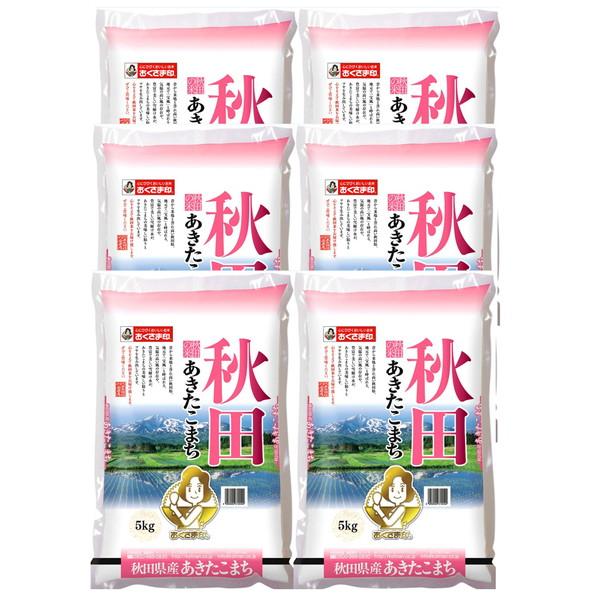 秋田県産 あきたこまち 5kg×6 ギフト プレゼント お中元 御中元 お歳暮 御歳暮