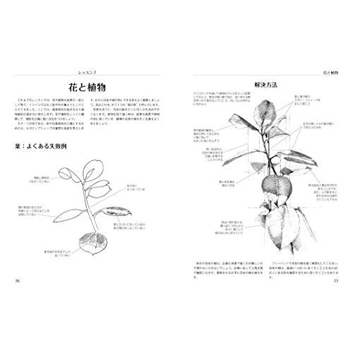 鉛筆ドローイングレッスン