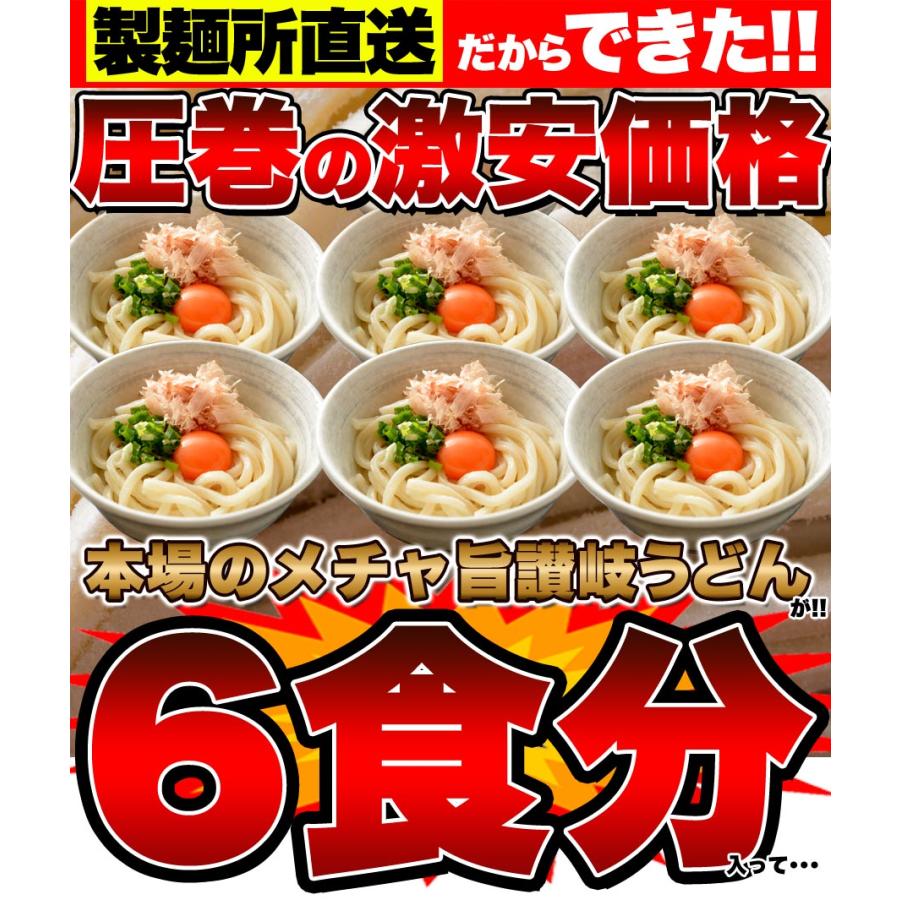 10％OFFクーポン配布中 生うどん 鎌田醤油特製ダシ醤油6袋付き!!讃岐うどん6食分600g（300g×2袋） 讃岐うどん つゆ付き 生うどん 産地直送