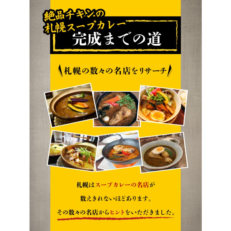 絶品チキンの札幌スープカレー 2食セット スープカレー レトルト 人気 スパイスカレー チキンレッグ 北海道 保存食 非常食 おとりよせグルメ